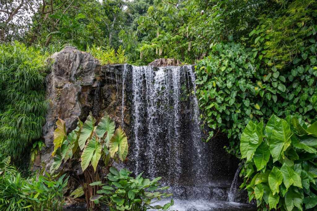 Botanic Gardens